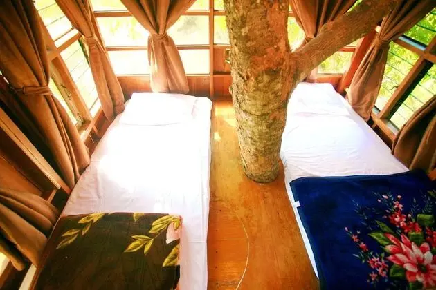 Tree House (Fan, Share bathroom)