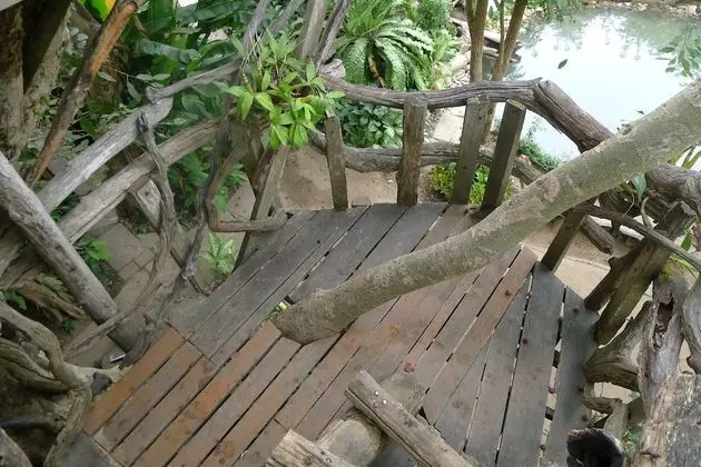 Tree House (Fan, Share bathroom)