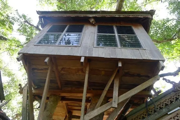 Tree House (Fan, Share bathroom)