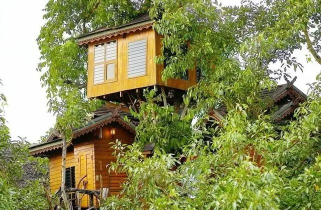 Tree House (Fan, Share bathroom)