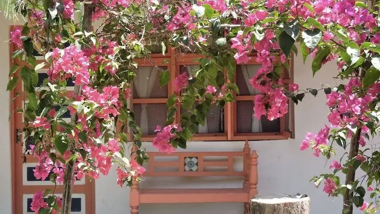 Comfort Bungalov