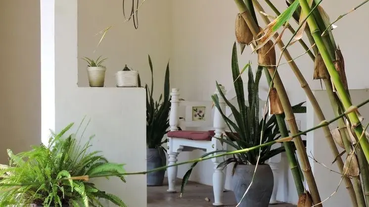 Design Bungalov