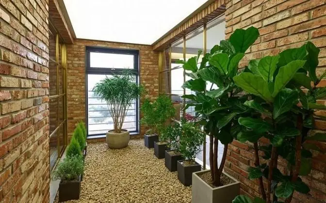 Oda (Unshared House)