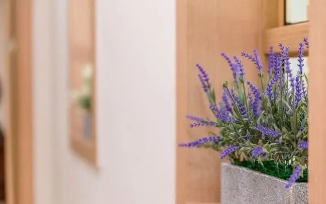 Oda (Rose of Sharon)