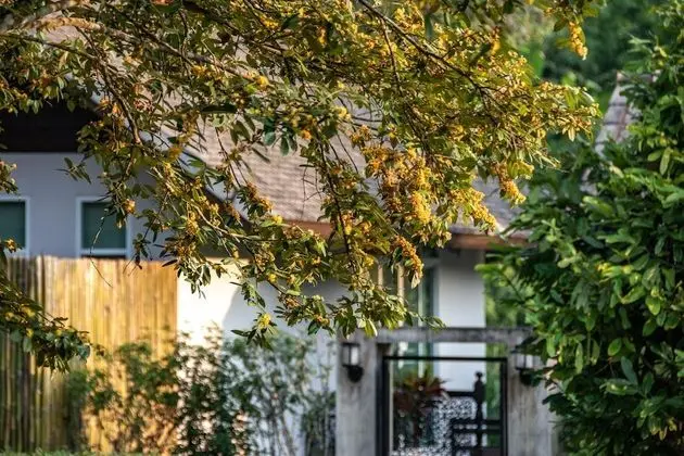 Superior Villa, 1 En Büyük (King) Boy Yatak, Sigara İçilmez, Veranda