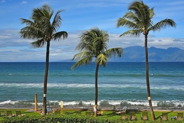 Daire, 2 Yatak Odası