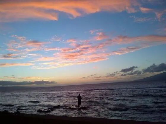 Daire, 2 Yatak Odası