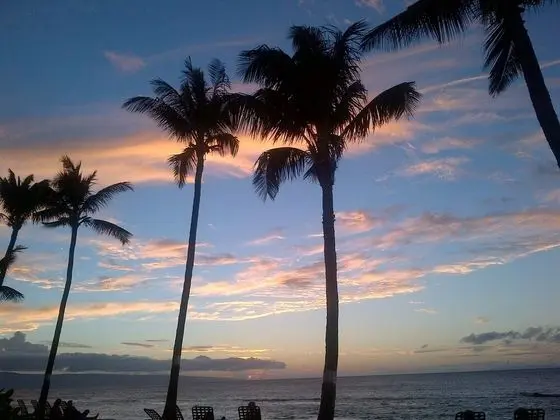 Daire, 2 Yatak Odası