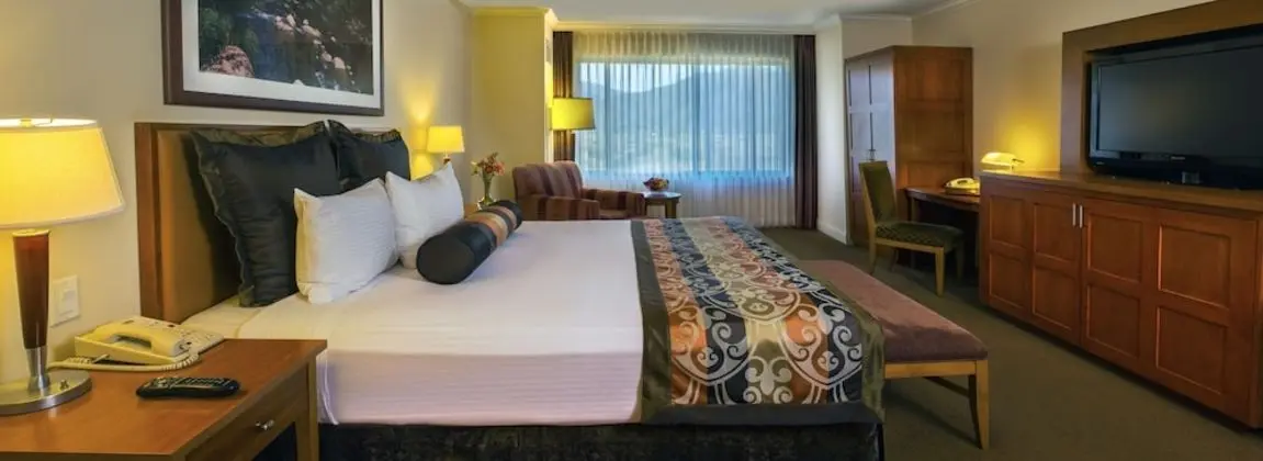 Deluxe Oda, 1 En Büyük (King) Boy Yatak