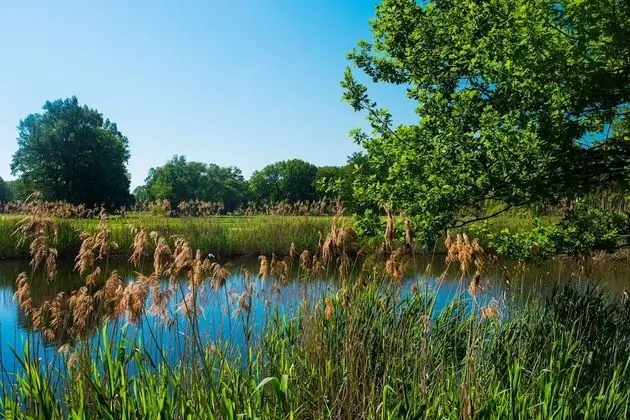 Classic Tek Kişilik Oda, 1 Yatak Odası, Bahçe Manzaralı