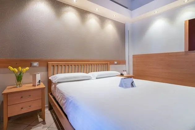 Standard Tek Büyük Yataklı Oda, 1 En Büyük (King) Boy Yatak