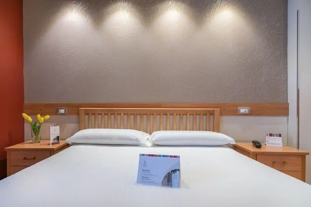 Standard Tek Büyük Yataklı Oda, 1 En Büyük (King) Boy Yatak