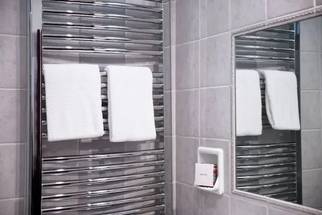 Standard Tek Büyük Yataklı Oda, 1 En Büyük (King) Boy Yatak