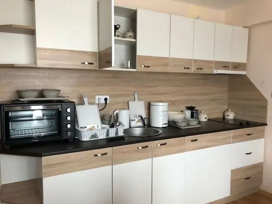 Apart Daire, 1 Yatak Odası, Sigara İçilebilir, Buzdolabı