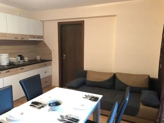 Apart Daire, 1 Yatak Odası, Sigara İçilebilir, Buzdolabı