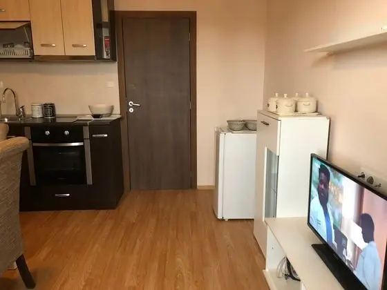 Apart Daire, 1 Yatak Odası, Sigara İçilebilir, Buzdolabı