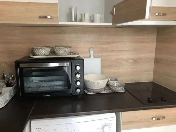 Apart Daire, 1 Yatak Odası, Sigara İçilebilir, Buzdolabı