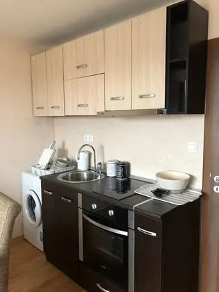 Apart Daire, 1 Yatak Odası, Sigara İçilebilir, Buzdolabı