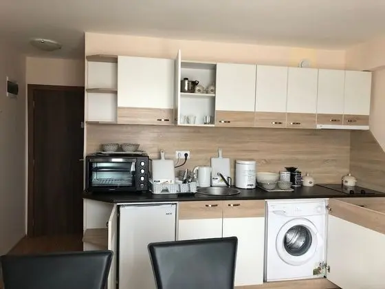 Apart Daire, 1 Yatak Odası, Sigara İçilebilir, Buzdolabı