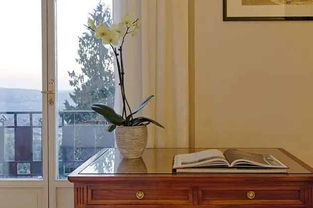 Standard Tek Büyük Yataklı Oda, Göl Manzaralı