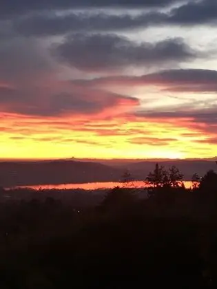 Standard Tek Büyük Yataklı Oda, Göl Manzaralı