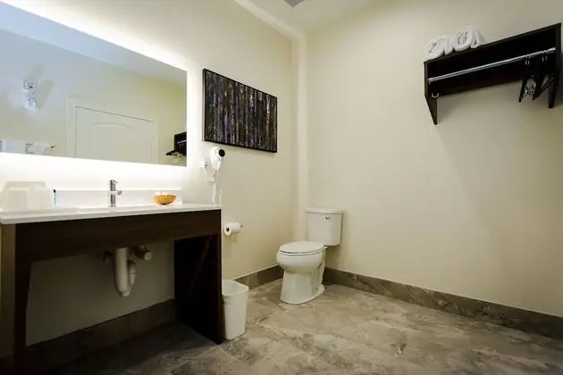 Deluxe Oda, 1 En Büyük (King) Boy Yatak, Buzdolabı ve Mikrodalga, Şehir Manzaralı