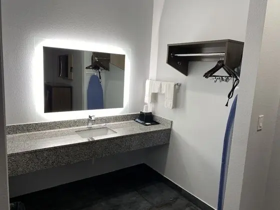 Deluxe Tek Kişilik Oda, 1 En Büyük (King) Boy Yatak, Sigara İçilebilir