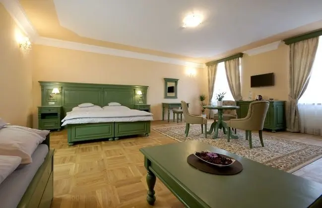 Premium Stüdyo Süit, 1 Yatak Odası, Şehir Manzaralı