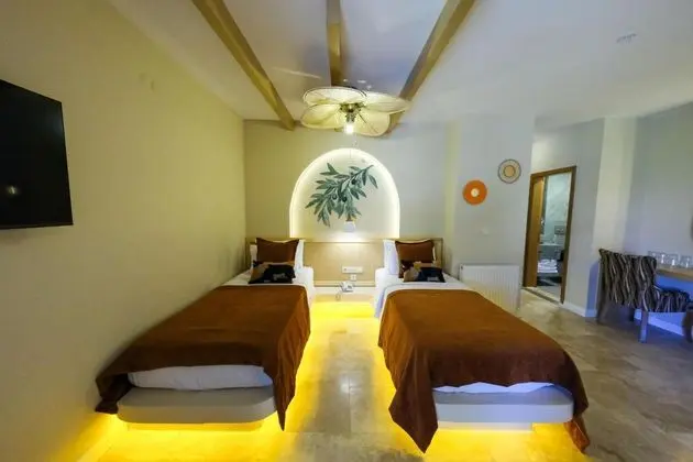 https://images.odamax.com/img/1920x1080/odamax/image/upload/Palace_Hotel_Olive_Odore_202606291435239_aile_8_.jpg