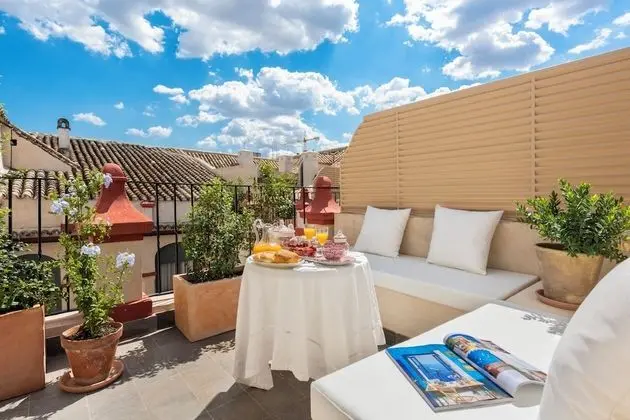 Çatı Katı Süiti (Penthouse), Teras