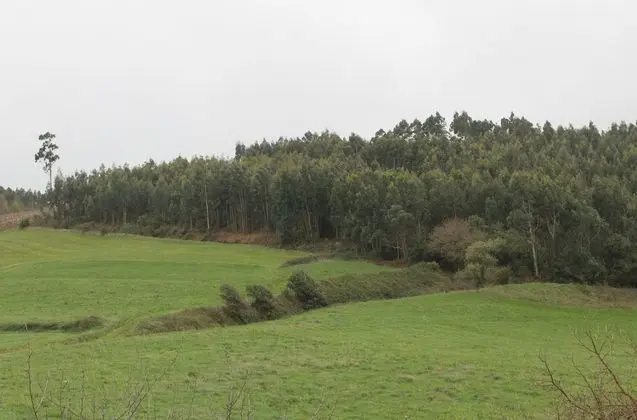 Classic Tek Büyük Yataklı Oda, Bahçe Manzaralı