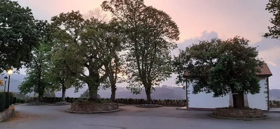 Büyük Yataklı Tek Kişilik Oda
