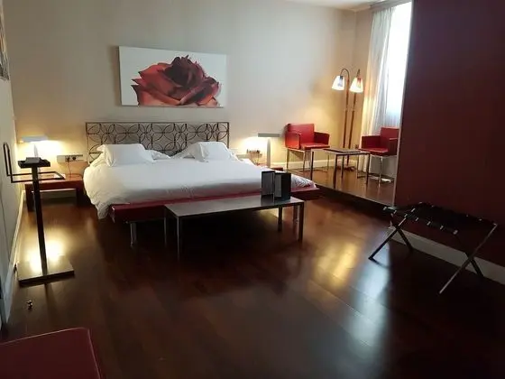 Superior Tek Büyük Yataklı Oda, 1 Büyük (Queen) Boy Yatak, Özel Banyo
