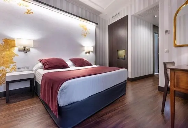 Tek Büyük Yataklı Oda, 1 Çift Kişilik Yatak (Inner View)