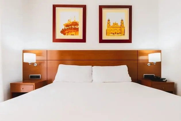 Büyük Yataklı Tek Kişilik Oda (1)