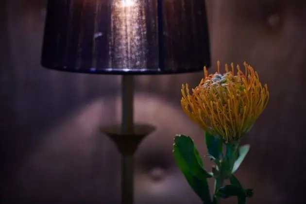 Junior Stüdyo Süit, 1 Yatak Odası, Şehir Manzaralı