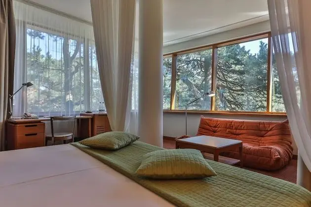 Deluxe Tek Büyük Yataklı Oda (Luxury Building)