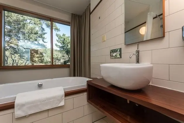 Deluxe Tek Büyük Yataklı Oda (Luxury Building)