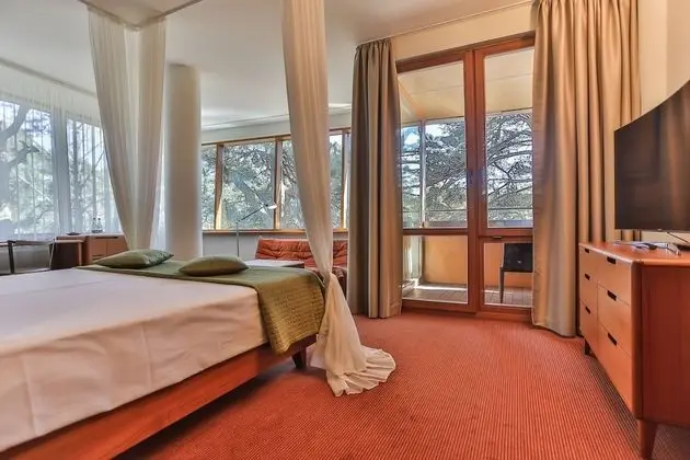 Deluxe Tek Büyük Yataklı Oda (Luxury Building)
