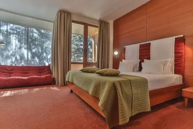 Superior Tek Büyük Yataklı Oda (Luxury Building)