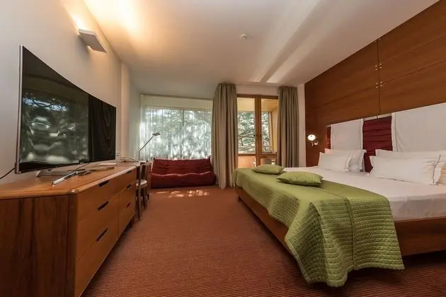 Superior Tek Büyük Yataklı Oda (Luxury Building)