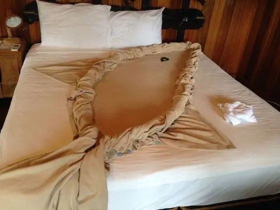 Premium Kulübe