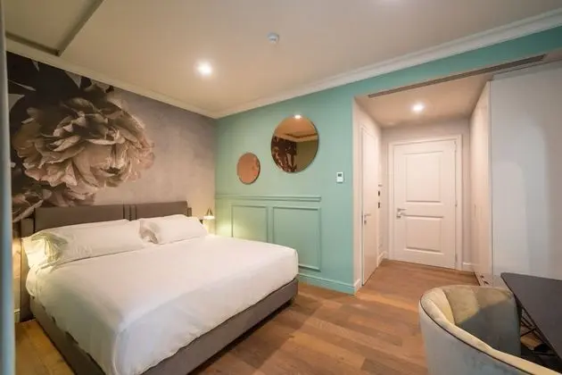 Standard Tek Büyük Yataklı Oda, 1 Büyük (Queen) Boy Yatak