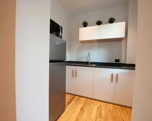 Deluxe Apart Daire, 1 Büyük (Queen) Boy Yatak, Şehir Manzaralı