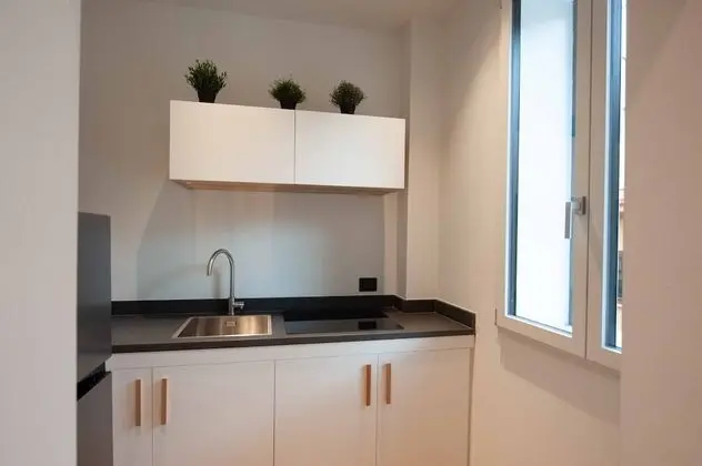 Deluxe Apart Daire, 1 Büyük (Queen) Boy Yatak, Şehir Manzaralı