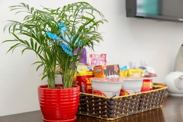 Deluxe İki Ayrı Yataklı Oda, Balkon, Havuz Manzaralı