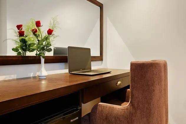 Superior Tek Büyük Yataklı Oda, 1 Çift Kişilik Yatak, Şehir Manzaralı