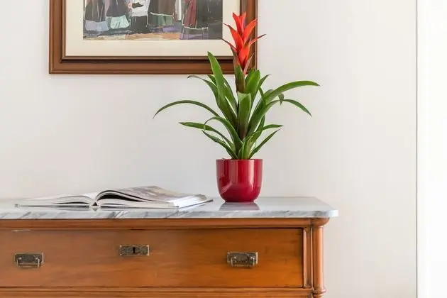 Junior Tek Büyük veya İki Ayrı Yataklı Oda