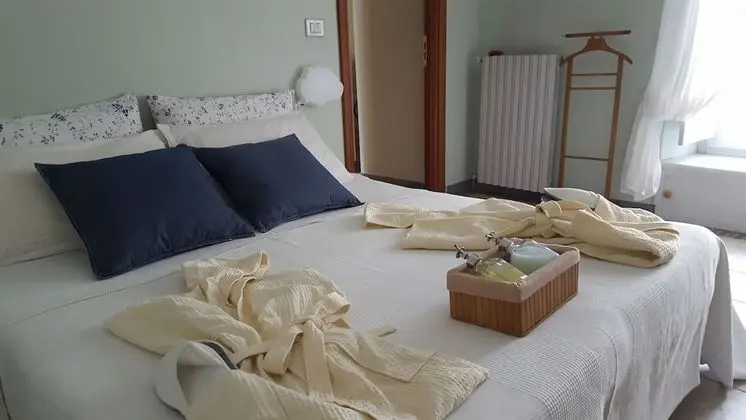 Comfort Tek Büyük veya İki Ayrı Yataklı Oda, 1 Yatak Odası, Bahçe Manzaralı