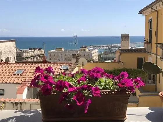 Tek Büyük Yataklı Oda, Balkon